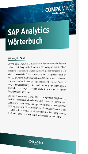 Unser Whitepaper zum SAP Analytics Wörterbuch